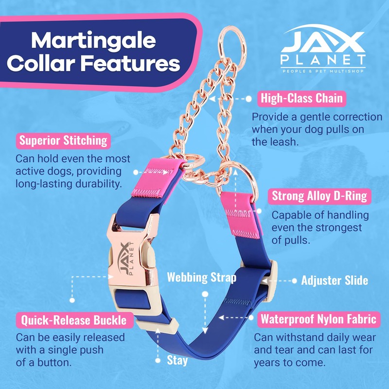 Jelly Waterproof Martingale Dog Collar, No Pull Nylon Collar with