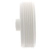Sioux Chief 2 in. MPT in. PVC Clean-Out Plug