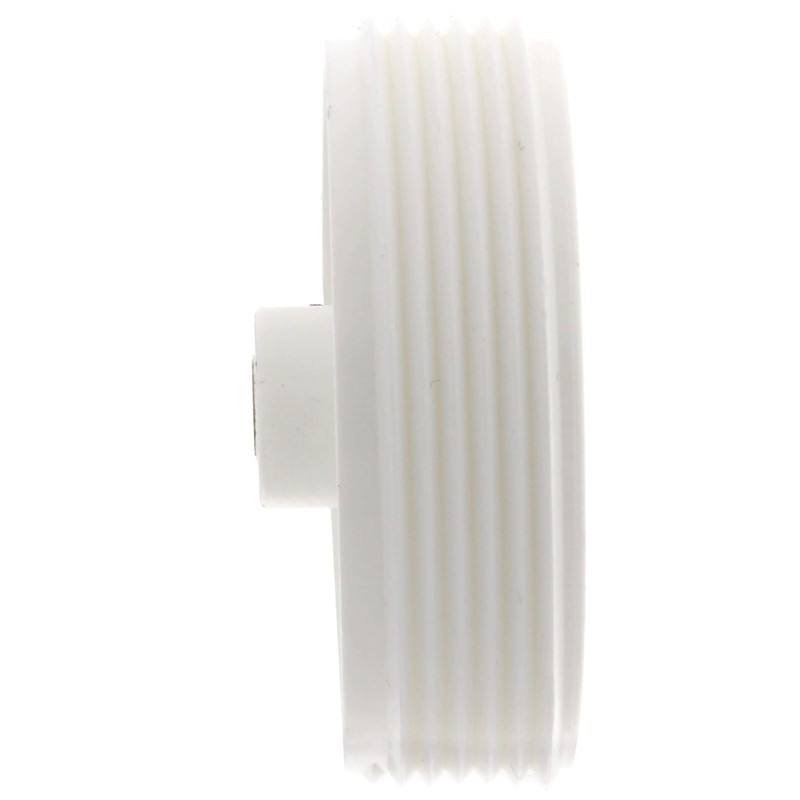 Sioux Chief 2 in. MPT in. PVC Clean-Out Plug