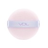 VDL Perfecting Silky Fit Powder