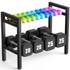 Dumbbell Rack 2-Tier 20 IN Length Adjustable Weight Rack For