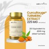 LUXNUTRITION LUXNUTRITION HIGH POTENCY CurcuRouge? Turmeric Curcumin 4500mg | Clinically