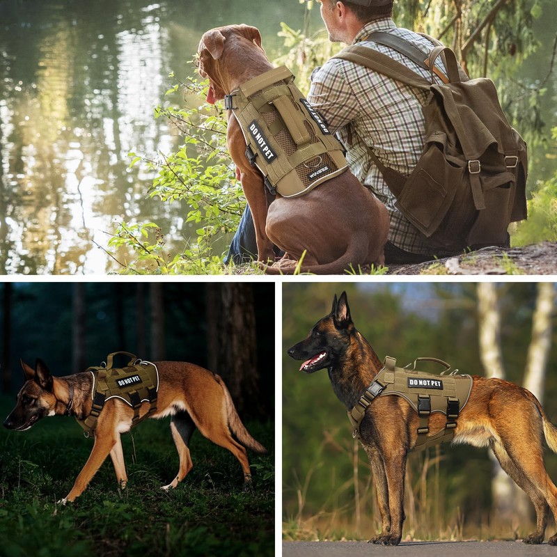 WINSEE Mesh Dog Harness with 10 Pet Patches for Large