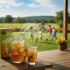 4C Pitcher Packs, Green Tea 8 Pack, Makes 14 Quarts,