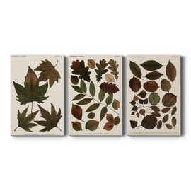 Wall Décor, Livingroom Wall Art,Modern, Industrial, Cape Cod, Colonial, Autumnal Leaves IV, 3 Piece Set, Gallery Wrapped Canvas, 12X18 x 3 panels