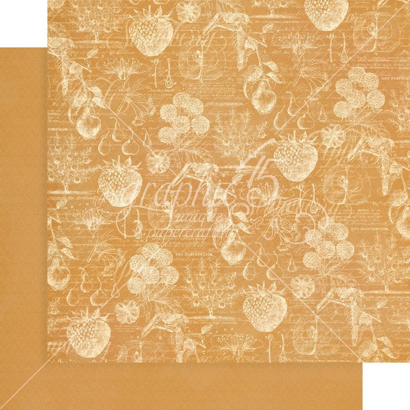 Graphic 45 Fruit & Flora Paper PRNT/Solid, Assorted, One Size