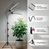Plant Grow Light with Stand,Super Bright 6000K White Full Spectrum