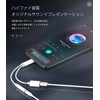 Lightning 3.5mm Earphone Jack Adapter (2 in 1) Simultaneous Charging