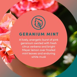 Clean Revolution Liquid Gel Hand Soap, Silky Rich Liquid, Quick Lather, Fast Rinsing, (Geramium Mint) 128 Fl Oz, 4 Pack