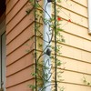Achla Designs Downspout Wrought Iron Garden Trellis