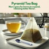 Tozzy USDA Organic Ginger Tea - 100 Count (Pyramid Tea