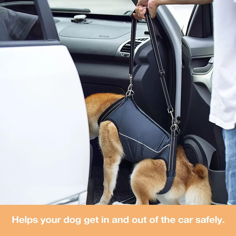 Dog Lift Harness for Senior & Injured Dogs – Full
