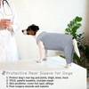 Dog Post Surgery Body Suit, Operation Recovery Suit Female Dog