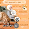 Acehome Squeaky Dog Interactive Play Toy, No Stuffing Raccoon Dogs