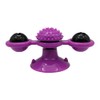 Fancy Pets Juguete Play Spinner con Catnip para Gato