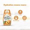 SweetLeaf Stevia Liquid Variety 6-Pack – Caramel, Chocolate, Vanilla Sweet