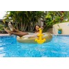Poolcandy Pool Raft Anchor