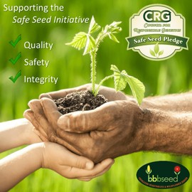 Beauty Beyond Belief Partial Shade Wildflower Seeds -1 oz, Open-Pollinated Wildflower Seed Mix Packet, No Fillers, Annual, Perennial Wildflower Seeds Year Round Planting - 1 oz