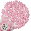 FirstChoiceCandy Pink Piglets, Pigs Gummy Candy (Raspberry Giant Pigs, 2