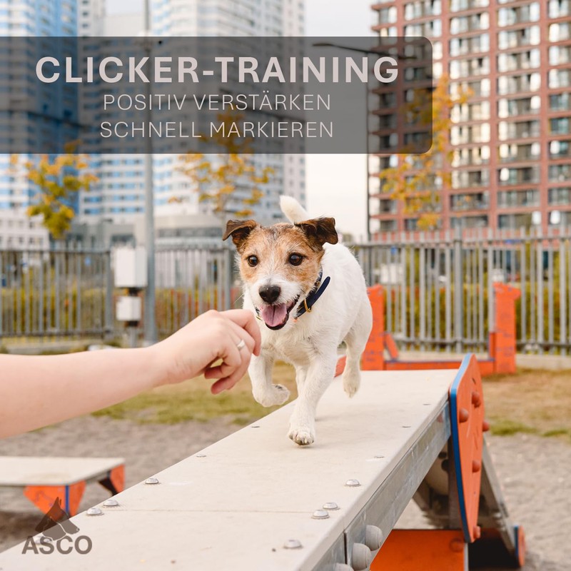 ASCO ASCO-04PA Premium Clicker, Dog and Cat Clicker for Professional