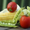 Augason Farms Vegetable Garden Seeds 13 Variety 1 lb No.
