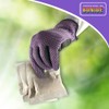 Bonide Mouse Magic Mouse Repellent Scent Packs, 4 Ready-to-Use Packs