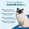 Pet Wellbeing Solid BM Gold for Cats - Supports Healthy