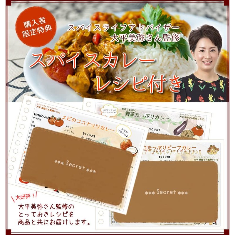 スパイスカレー 用 カレー スパイス 4種セット (レシピ付き) 農薬自社検査合格 （保存に便利なチャック付袋入り！） ターメリック クミン