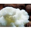 Aoe <Sensitive to Mixed Skin > Milky Lotion [Organic Milky