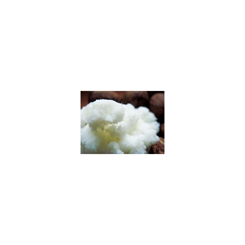 Aoe <Sensitive to Mixed Skin > Milky Lotion [Organic Milky