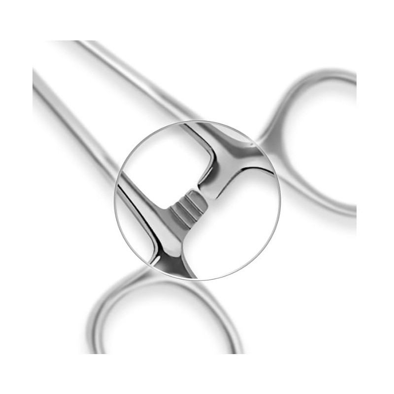 Curved Edge Surgical Forceps - 5.5 Inch Stainless Steel Hemostat