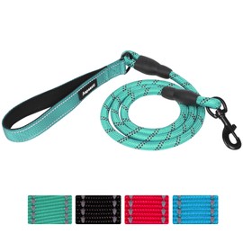Aepeasti Heavy Duty Dog Leash - Durable & Reliable Pet Leash for Walking, Training & Control - Reflective for Safety - Adjustable Length - Comfortable Handle - Suitable for Large & Small Dogs (Green)
