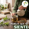 Xenivalle Cedrón Deshidratado 500 g Hierba Natural para Infusiones, Tés,