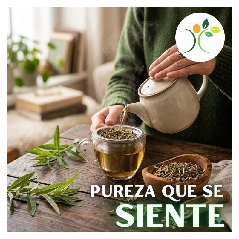 Xenivalle Cedrón Deshidratado 500 g Hierba Natural para Infusiones, Tés,