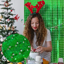 Green Tinsel Backdrop, Green Foil Fringe Curtain, Green Streamers Party Decorations, Christmas Decorations, Dinosaur Birthday Decorations, Jungle Theme Decorations, Football Decorations for Party