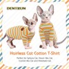 DENTRUN Hairless Cats Shirt Breathable Cat Daily Wear Clothes Stripe