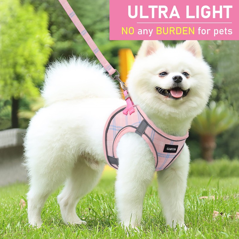 GAMUDA Small Dog Harness Collar and Leash Set, Step in
