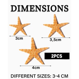 TOZBLEU Shells Decoration - 20 Pieces Starfish Decoration, Decorative Shells, Starfish for Beach Theme Party, Home Decor, DIY Craft, Wedding Decoration, Home Decoration and Craft Projects (3-4 cm)