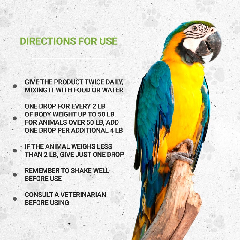 Birds Immunity | Natural Herbal Dietary Pet Supplement for Birds