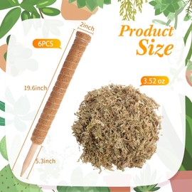 Knitgrip 118 Inch Stackable Moss Pole for Monstera Potted Plant Stakes - 6 Pack 19 Inch Plant Pole Stick for Plants Climbing Vine Supporting Monstera with Decorative 3.5 oz Pale Green Moss Crafts