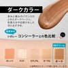 Dark BB Cream for Men 30g SPF20 PA++ – Japanese-Made