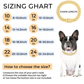 Gold Dog Chain Diamond Gold Chain Dog Collar Walking Metal Chain Collar with Design Secure Buckle Pet Collar Jewelry Accessories Dog Necklace for Small Medium Large Dogs Cats (Gold,10 Inch)