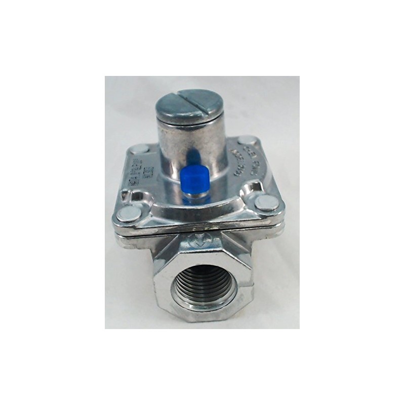 ERP PR1 Gas Pressure Regulator