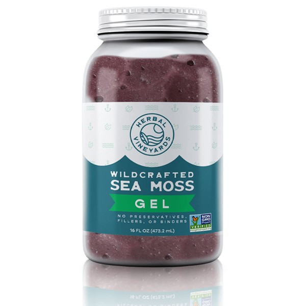Herbal Vineyards Natural Organic Wildcrafted Purple Raw Sea Moss Gel for Immune Support, Healthy Digestion, Thyroid Support, and More | 16oz Package | Non-GMO Project Verified