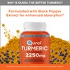 Qunol Turmeric Curcumin with Black Pepper, 2250mg Turmeric Extract with