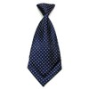RioGrande ZM-NT6942 Short Design Necktie, Mini Tie, For Men and