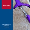 Coastal Pet Double-Ply Dog Leash - Bolt Snap Attachment to