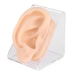 Soft Silicone Ear Model Simulation Ear Acupuncture Practice Model for