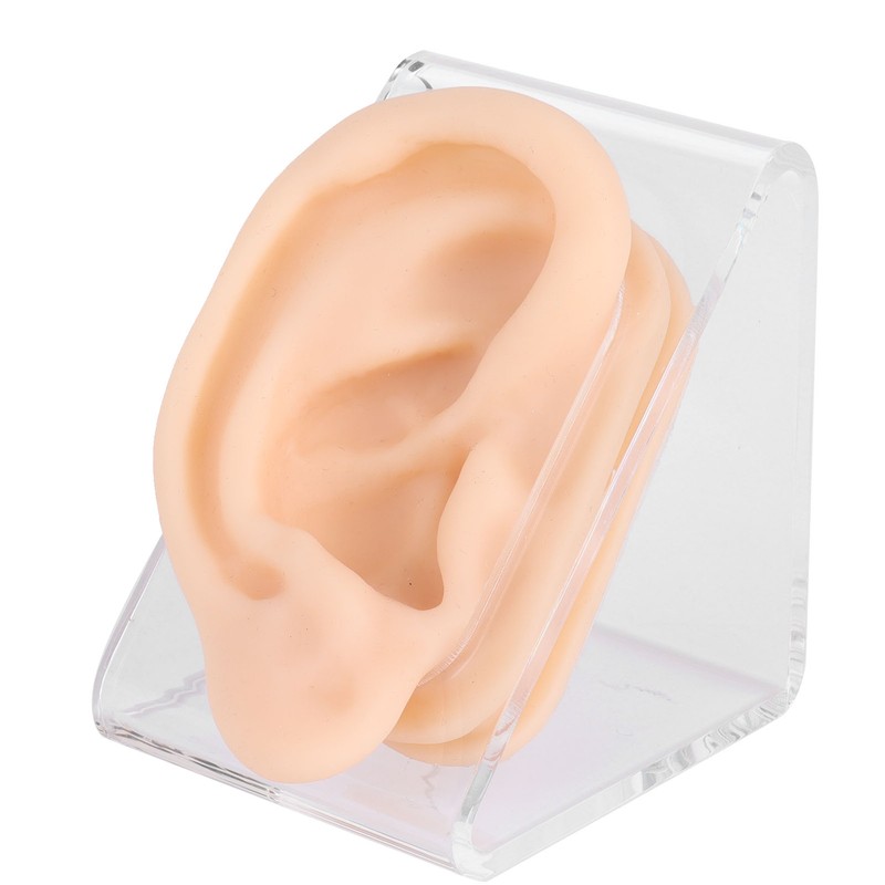 Soft Silicone Ear Model Simulation Ear Acupuncture Practice Model for
