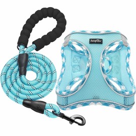 haapaw Dog Harness and Lead Set, No-Pull Adjustable Reflective Step-in Puppy Harness with Thick Padded Vest for Extra Small/Small/Medium Dogs
